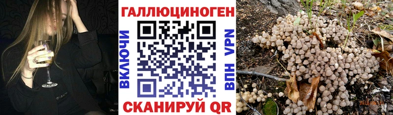 Псилоцибиновые грибы Cubensis  Чекалин 